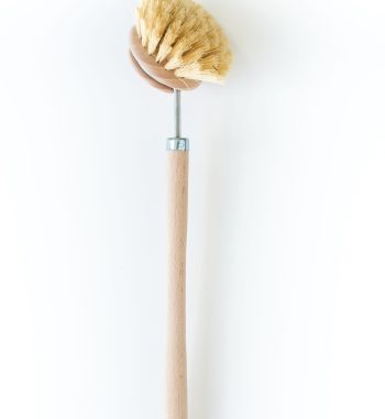 timber dishbrush